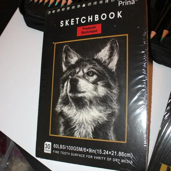 PRINA Art Supplies 120-Colored Pencils in Case and 2 New Sketch Books - Picture 7 of 7